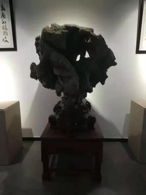 安徽首屆奇石文化交流博覽會(huì)開幕，熱乎乎的金獎(jiǎng)都在這里了！