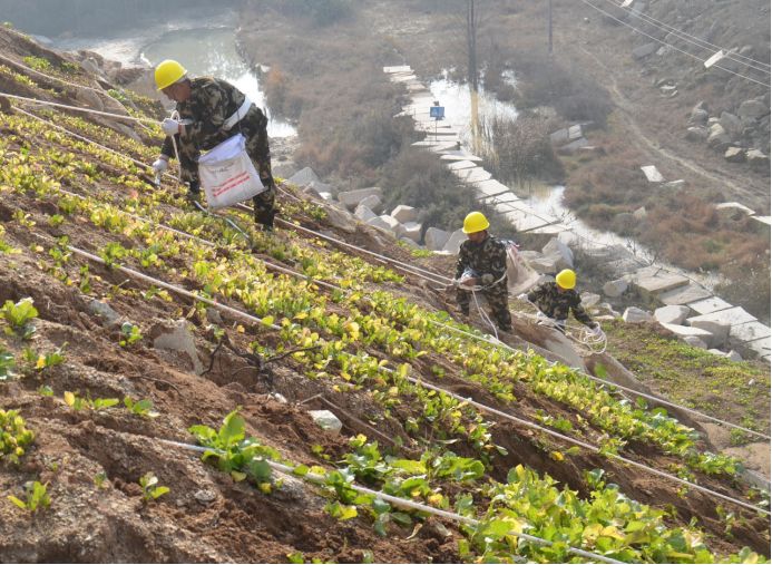 湖北完成礦山生態(tài)修復(fù)5萬畝，隨縣石材礦山復(fù)綠9010畝，礦山盼復(fù)工！