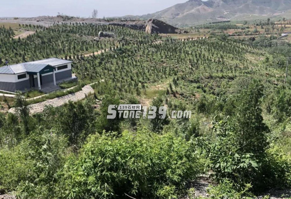 河南郟縣（蝦紅 中原紅 黑金花石材產(chǎn)地）礦山生態(tài)修復(fù)新模式的踐行者和排頭兵